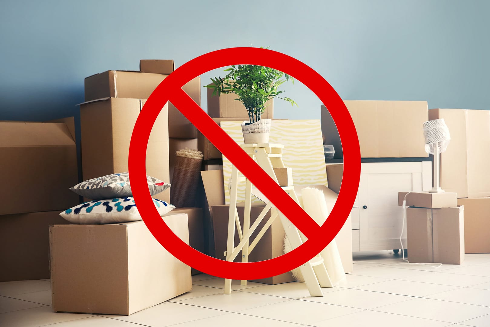 Non Allowables: What Not to Pack for Moving