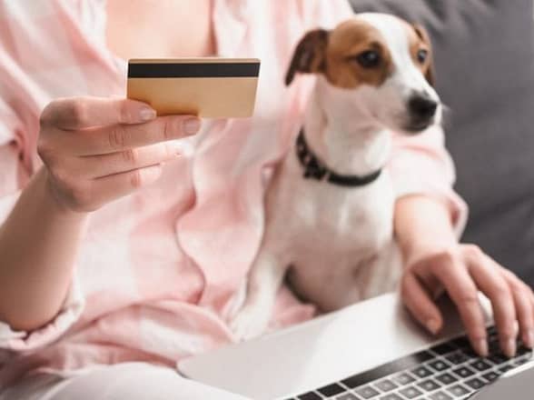 Budgeting for Pet Relocation: Costs to Consider